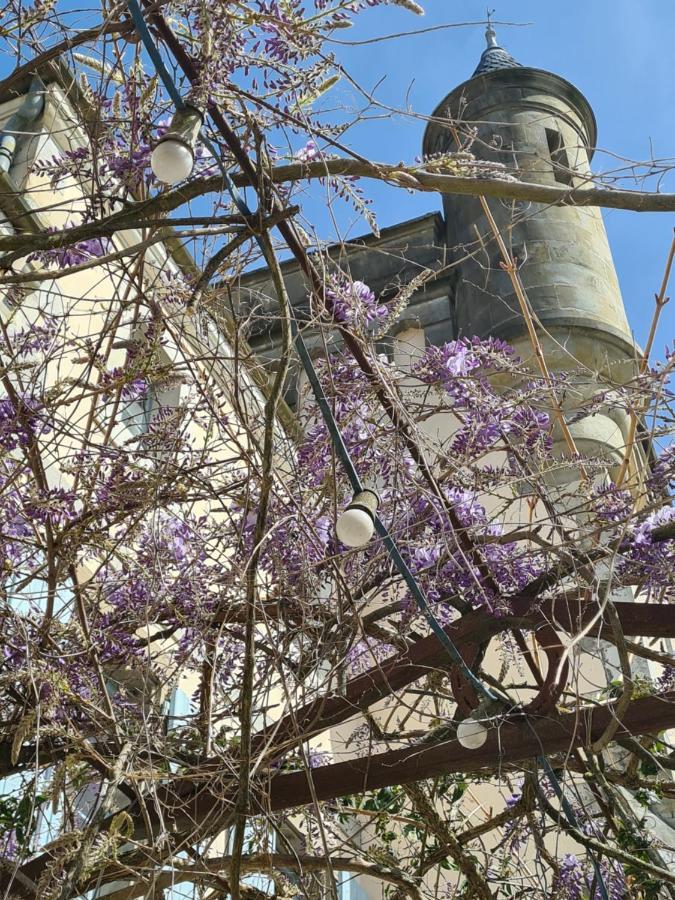 Chateau De Villeneuve - Montolieu Dış mekan fotoğraf