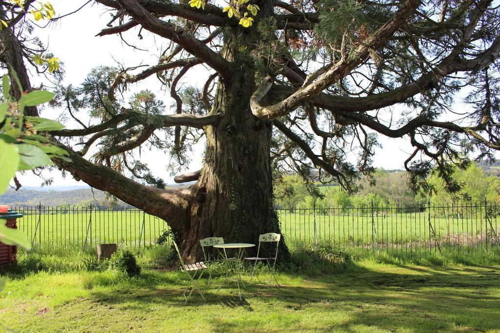 Chateau De Villeneuve - Montolieu Dış mekan fotoğraf