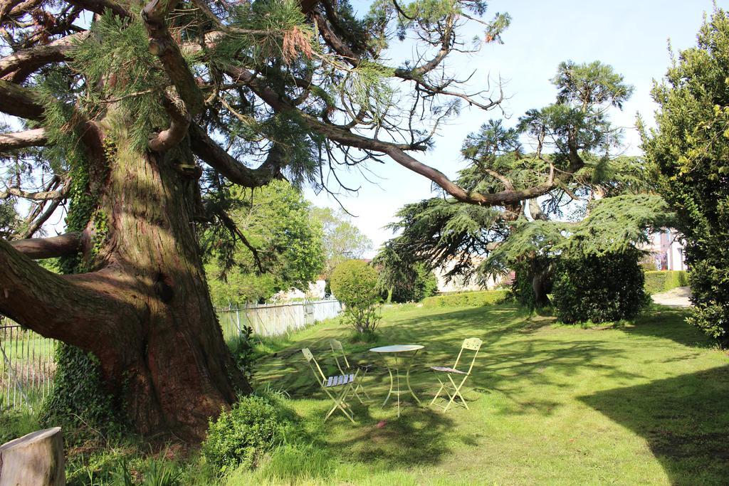 Chateau De Villeneuve - Montolieu Dış mekan fotoğraf
